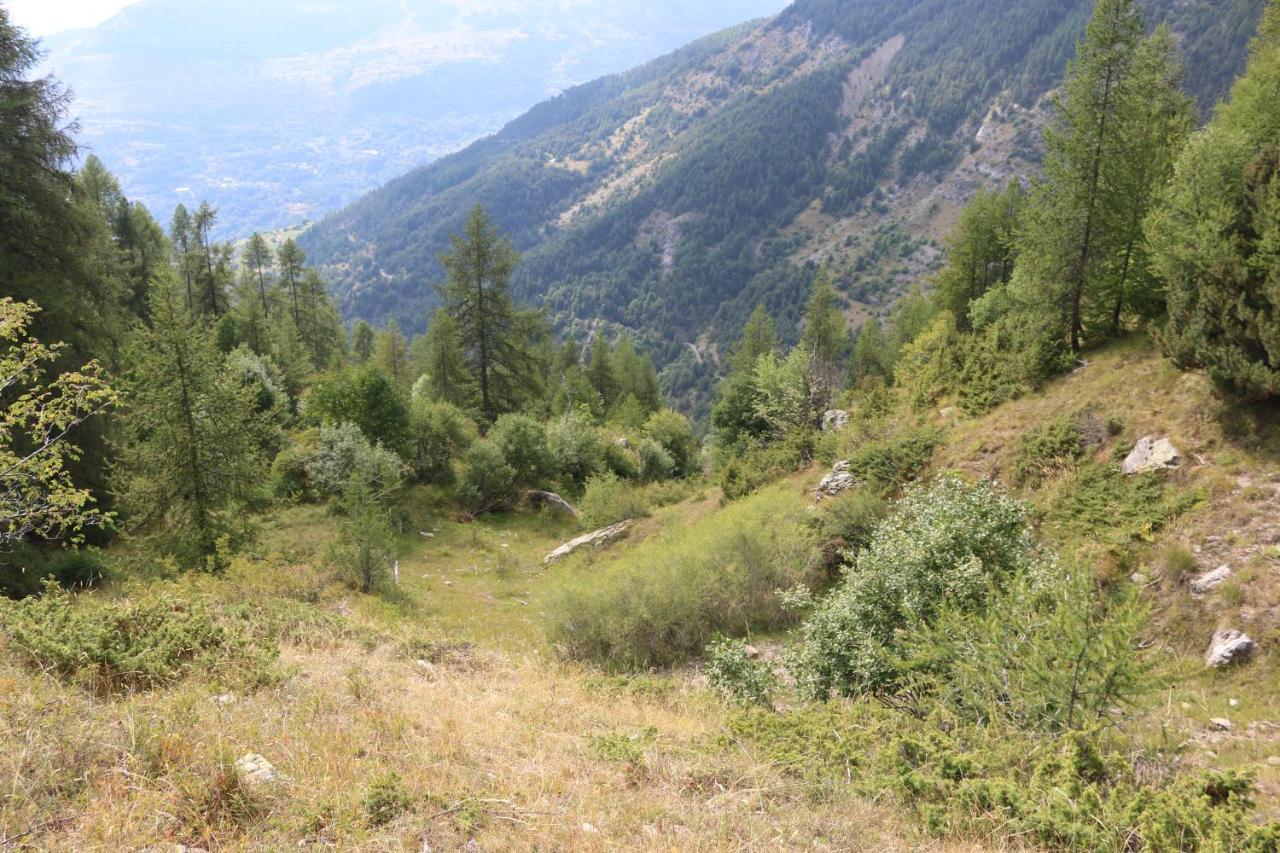 Appartement Au Depart Des Remontees Mecaniques - Briancon Dış mekan fotoğraf